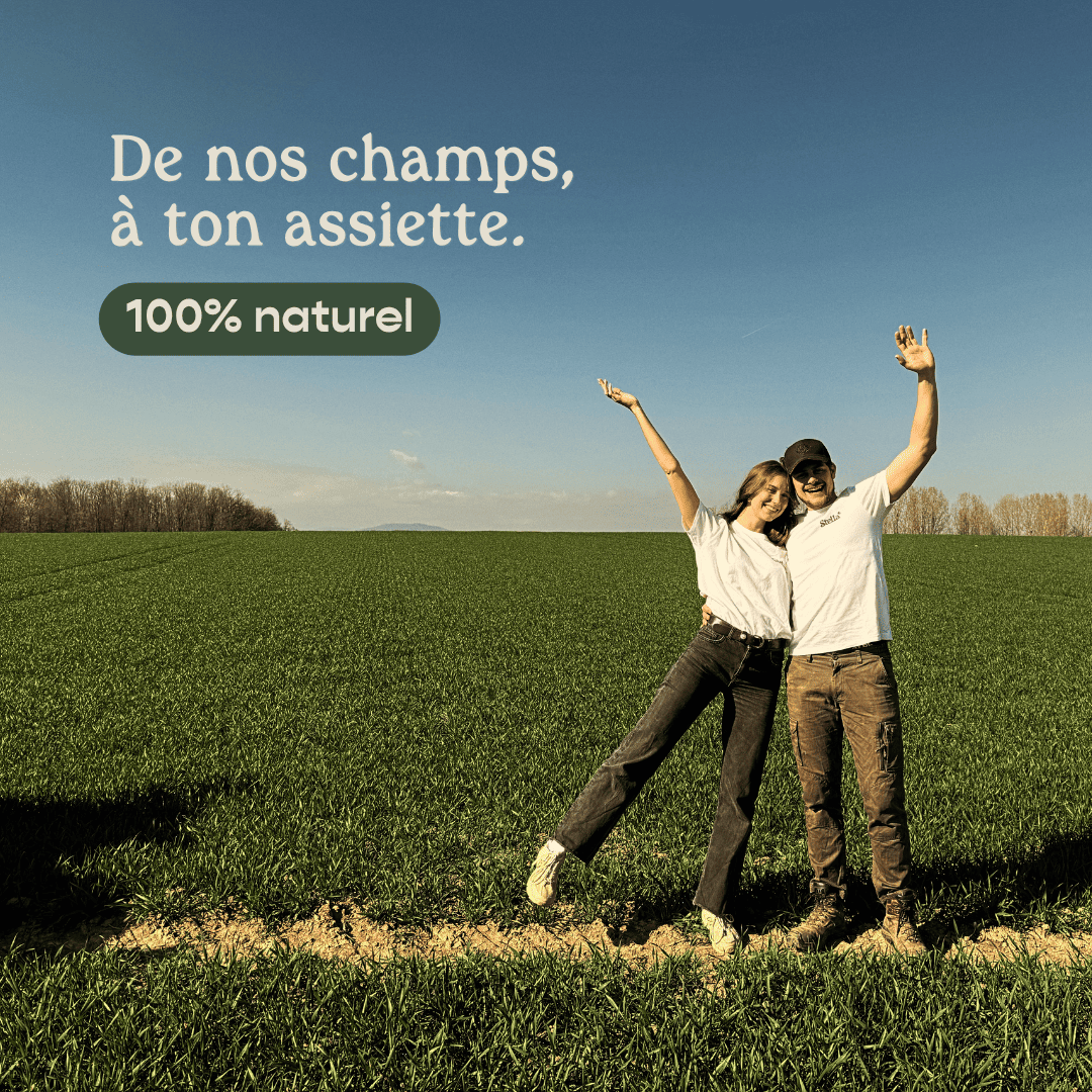 Poudre Protéinée de Chanvre 40% - Protéines & Fibres Végétales | Cuisine