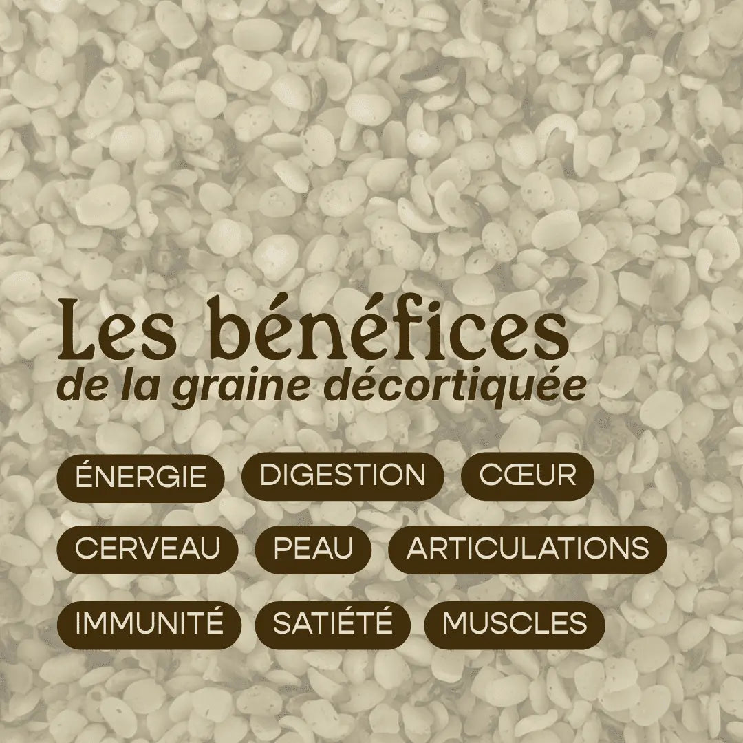 Graines de Chanvre Décortiquées d'Alsace - 31% Protéines Végétales