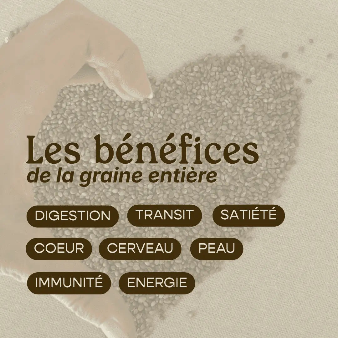 Graines de Chanvre Entières d'Alsace - Riches en Fibres & Protéines