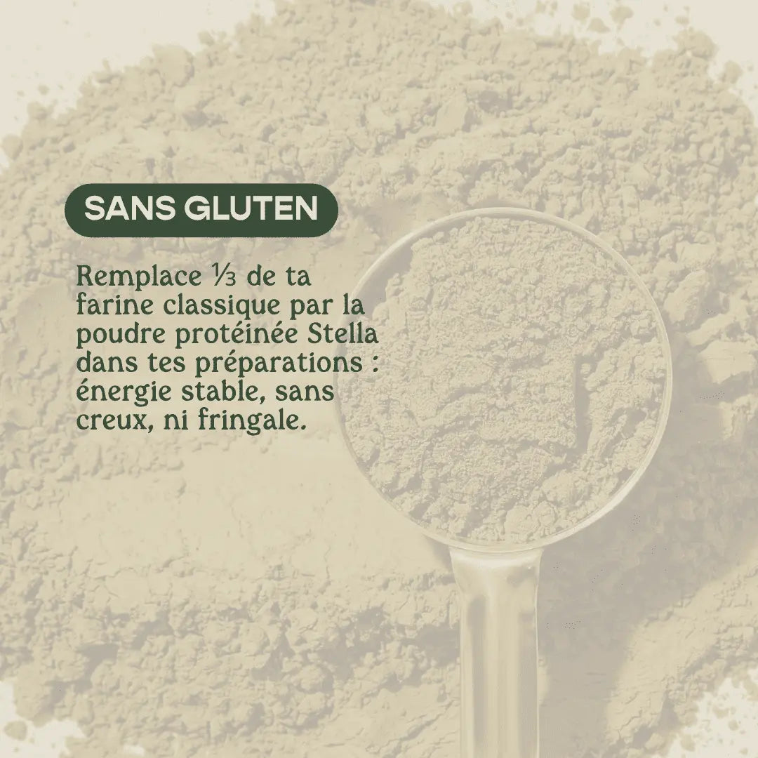 Poudre Protéinée de Chanvre 40% - Protéines & Fibres Végétales | Cuisine