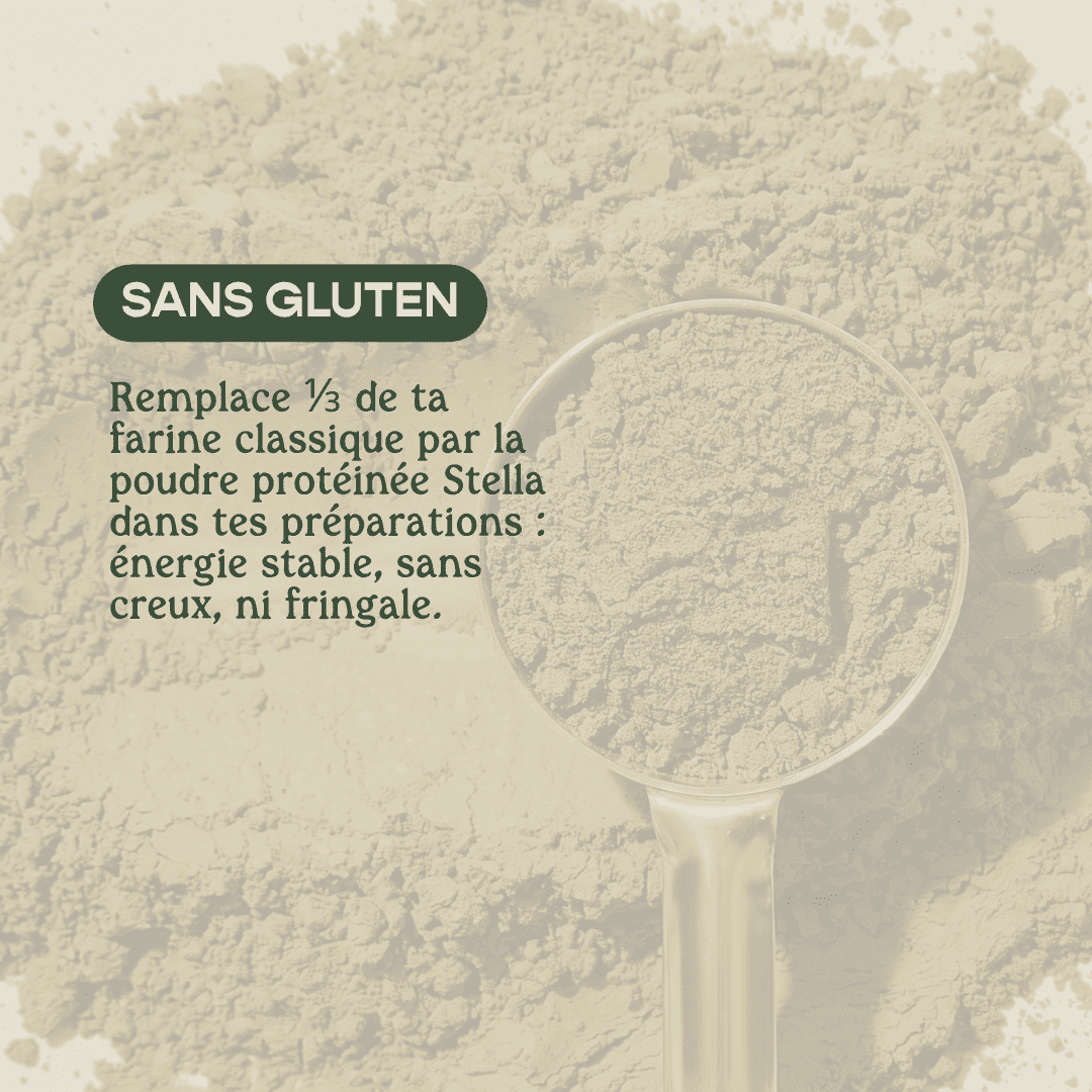 Poudre Protéinée de Chanvre 40% - Protéines & Fibres Végétales | Cuisine