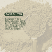 Poudre Protéinée de Chanvre 40% - Protéines & Fibres Végétales | Cuisine