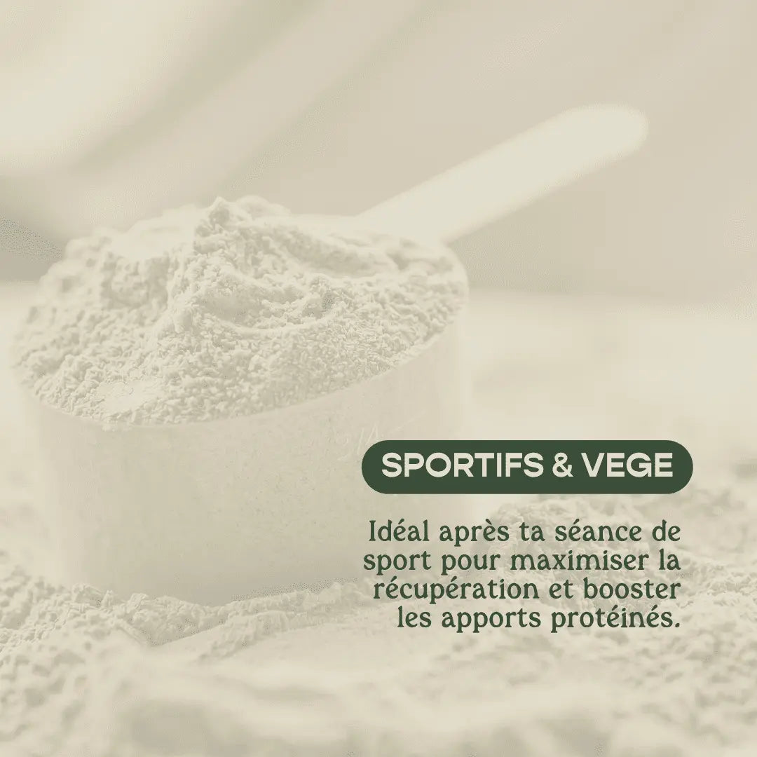 Poudre Protéinée de Chanvre 60% - Récupération & Performance | Sport & Vege