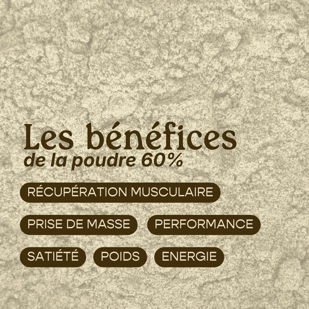 Poudre Protéinée de Chanvre 60% - Récupération & Performance | Sport & Vege
