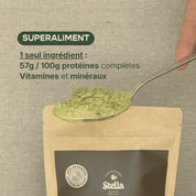Poudre Protéinée de Chanvre 60% - Récupération & Performance | Sport & Vege